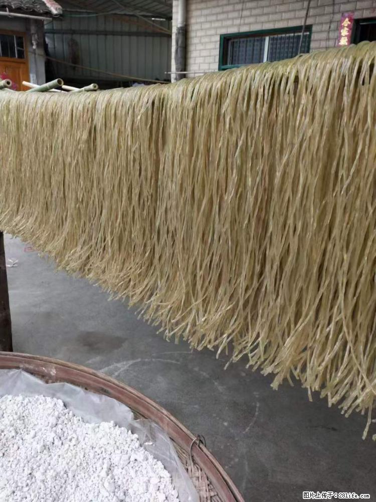 【灌阳正宗红薯粉】美女家里自己做的，干净卫生，假一赔十，价格合理，抢购电话：13737312895 - 土特产 - 饮食特产 - 石家庄分类信息 - 石家庄28生活网 sjz.28life.com