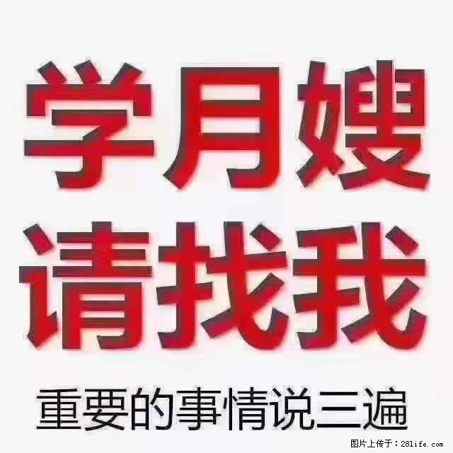 为什么要学习月嫂,育婴师? - 其他广告 - 广告专区 - 石家庄分类信息 - 石家庄28生活网 sjz.28life.com