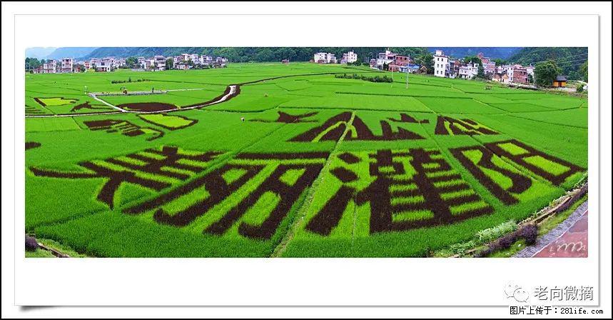 【春天,广西桂林灌阳县向您发出邀请!】开篇 - 游山玩水 - 石家庄生活社区 - 石家庄28生活网 sjz.28life.com