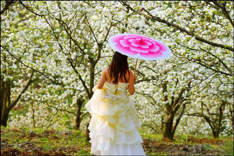 【春天,广西桂林灌阳县向您发出邀请!】我们在灌阳看梨花 - 游山玩水 - 石家庄生活社区 - 石家庄28生活网 sjz.28life.com