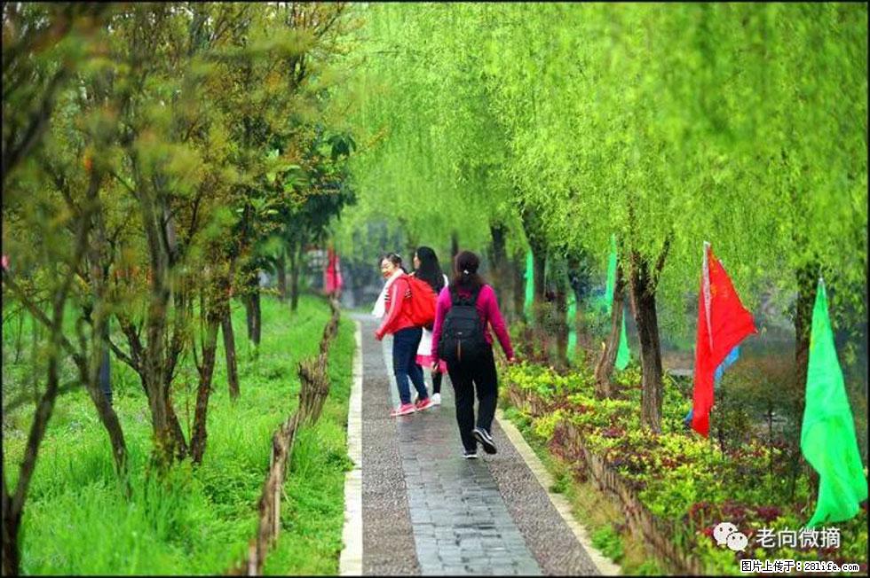 【春天,广西桂林灌阳县向您发出邀请!】江口老街又逢春 - 游山玩水 - 石家庄生活社区 - 石家庄28生活网 sjz.28life.com