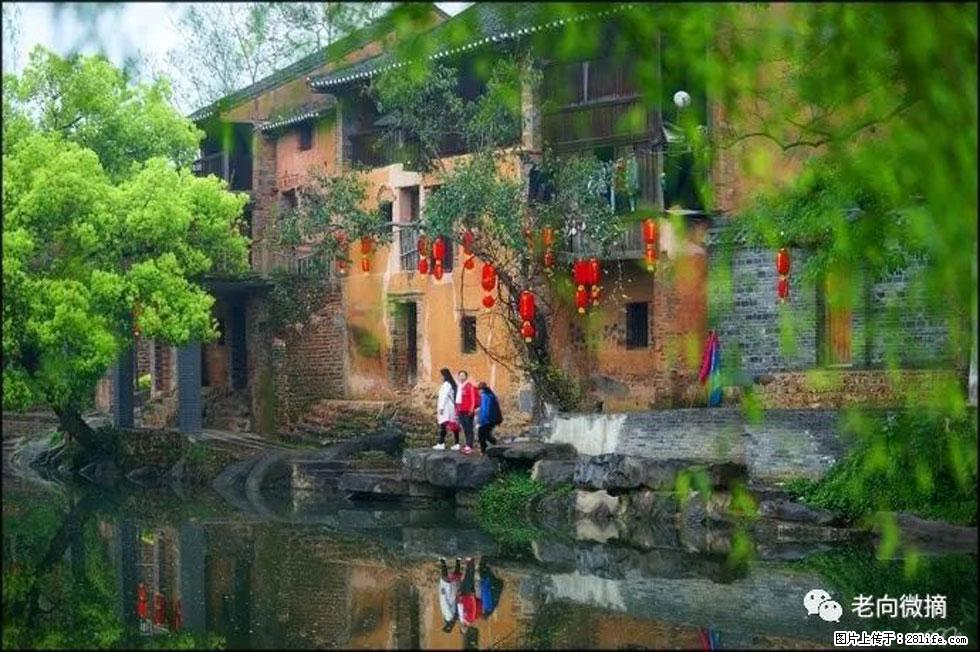 【春天,广西桂林灌阳县向您发出邀请!】江口老街又逢春 - 游山玩水 - 石家庄生活社区 - 石家庄28生活网 sjz.28life.com
