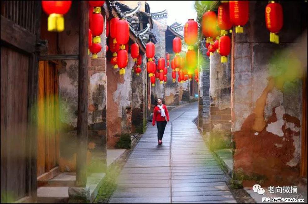 【春天,广西桂林灌阳县向您发出邀请!】江口老街又逢春 - 游山玩水 - 石家庄生活社区 - 石家庄28生活网 sjz.28life.com