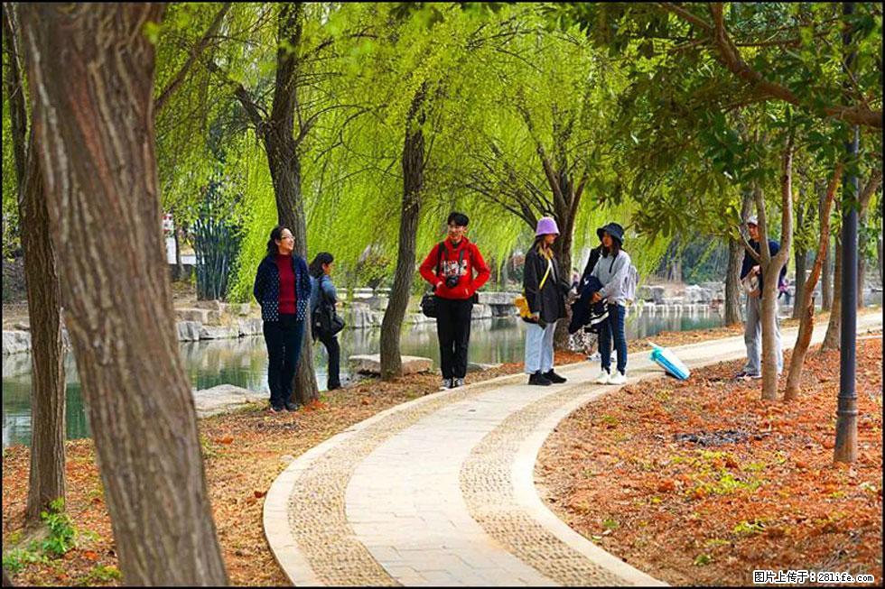 【春天,广西桂林灌阳县向您发出邀请!】江口老街又逢春 - 游山玩水 - 石家庄生活社区 - 石家庄28生活网 sjz.28life.com