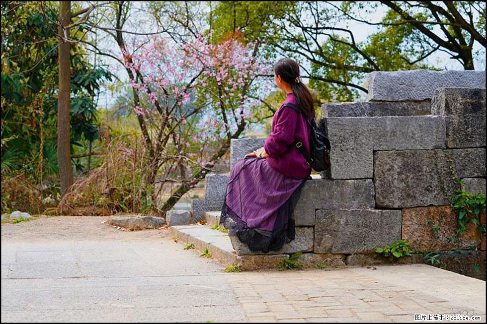 【春天,广西桂林灌阳县向您发出邀请!】江口老街又逢春 - 游山玩水 - 石家庄生活社区 - 石家庄28生活网 sjz.28life.com