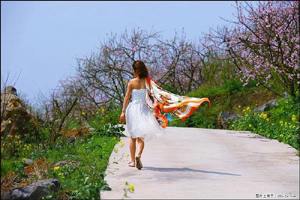 【春天,广西桂林灌阳县向您发出邀请!】望月岭上桃花开 - 游山玩水 - 石家庄生活社区 - 石家庄28生活网 sjz.28life.com