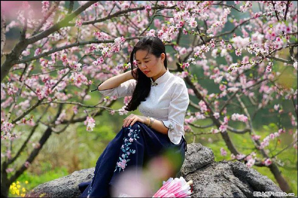 【春天,广西桂林灌阳县向您发出邀请!】望月岭上桃花开 - 游山玩水 - 石家庄生活社区 - 石家庄28生活网 sjz.28life.com