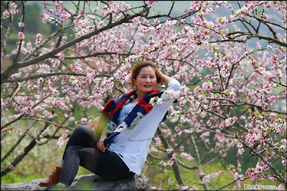 【春天,广西桂林灌阳县向您发出邀请!】望月岭上桃花开 - 游山玩水 - 石家庄生活社区 - 石家庄28生活网 sjz.28life.com