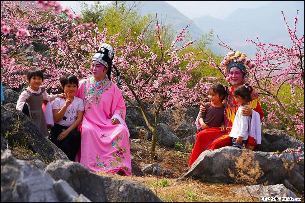 【春天,广西桂林灌阳县向您发出邀请!】望月岭上桃花开 - 游山玩水 - 石家庄生活社区 - 石家庄28生活网 sjz.28life.com