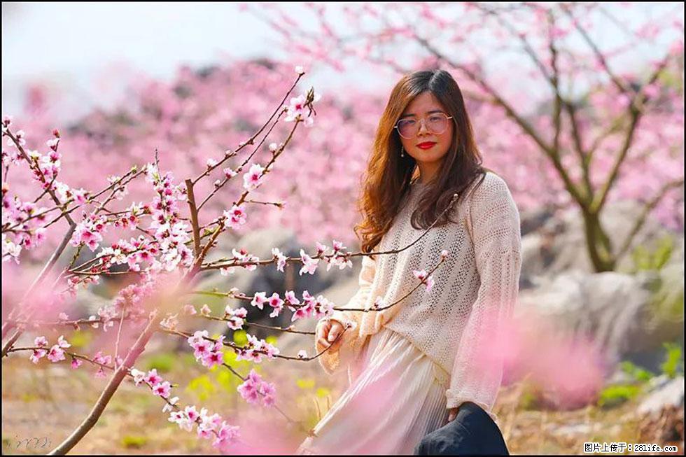 【春天,广西桂林灌阳县向您发出邀请!】望月岭上桃花开 - 游山玩水 - 石家庄生活社区 - 石家庄28生活网 sjz.28life.com