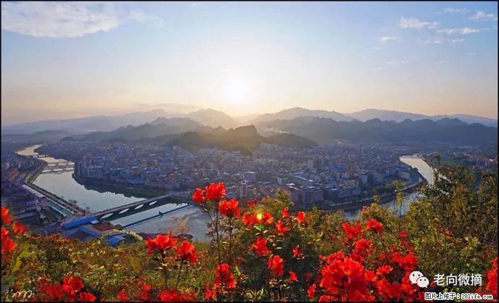 【春天,广西桂林灌阳县向您发出邀请!】登麒麟山,相约映山红 - 游山玩水 - 石家庄生活社区 - 石家庄28生活网 sjz.28life.com