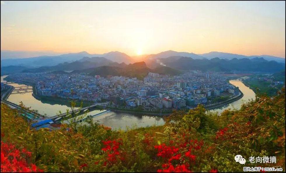 【春天,广西桂林灌阳县向您发出邀请!】登麒麟山,相约映山红 - 游山玩水 - 石家庄生活社区 - 石家庄28生活网 sjz.28life.com