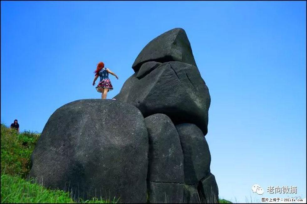 【春天,广西桂林灌阳县向您发出邀请!】宝盖山上映山红 - 游山玩水 - 石家庄生活社区 - 石家庄28生活网 sjz.28life.com