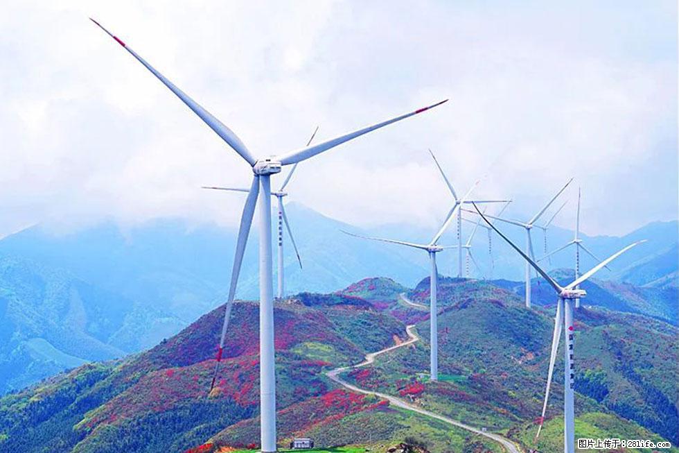 【春天,广西桂林灌阳县向您发出邀请!】春木界上映山红 - 游山玩水 - 石家庄生活社区 - 石家庄28生活网 sjz.28life.com