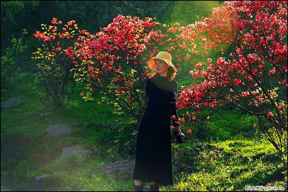 【春天,广西桂林灌阳县向您发出邀请!】春木界上映山红 - 游山玩水 - 石家庄生活社区 - 石家庄28生活网 sjz.28life.com