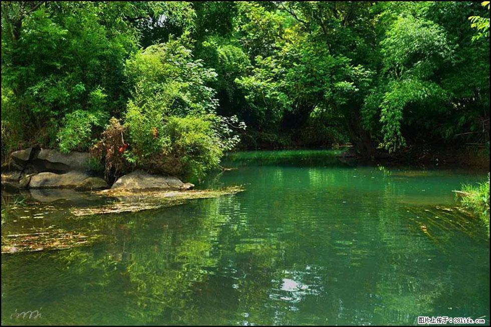 【春天，广西桂林灌阳县向您发出邀请！】如梦似幻莲溪庐 - 游山玩水 - 石家庄生活社区 - 石家庄28生活网 sjz.28life.com