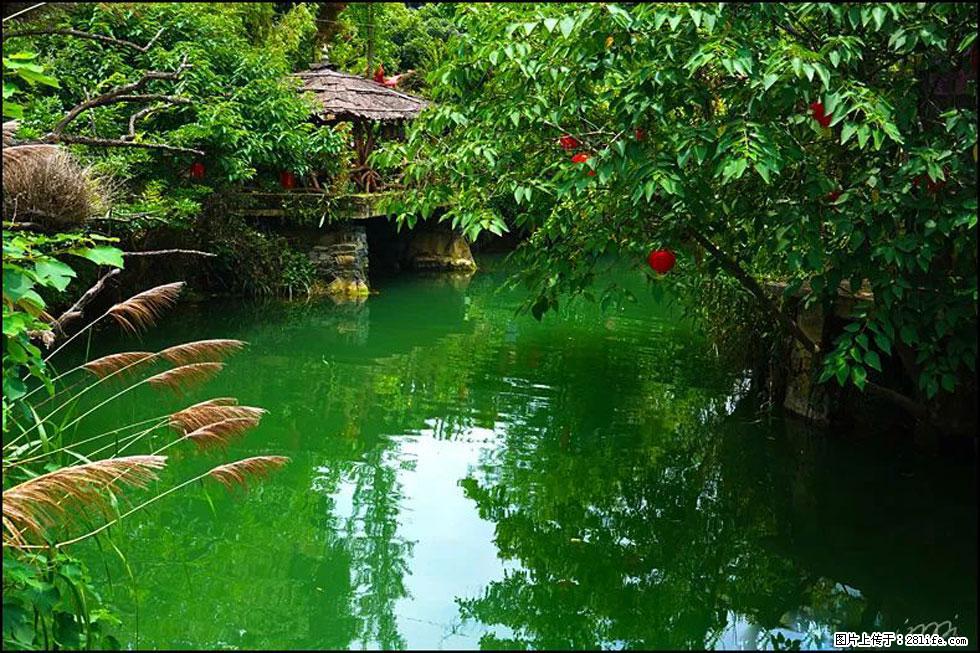 【春天，广西桂林灌阳县向您发出邀请！】如梦似幻莲溪庐 - 游山玩水 - 石家庄生活社区 - 石家庄28生活网 sjz.28life.com