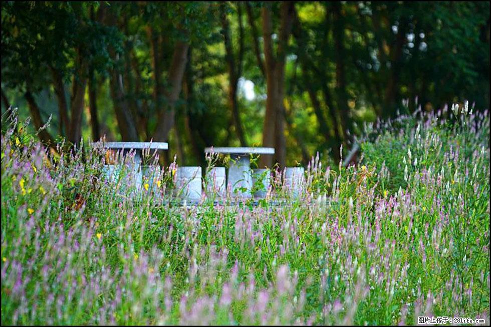 【春天，广西桂林灌阳县向您发出邀请！】熊家寨湿地公园 - 游山玩水 - 石家庄生活社区 - 石家庄28生活网 sjz.28life.com