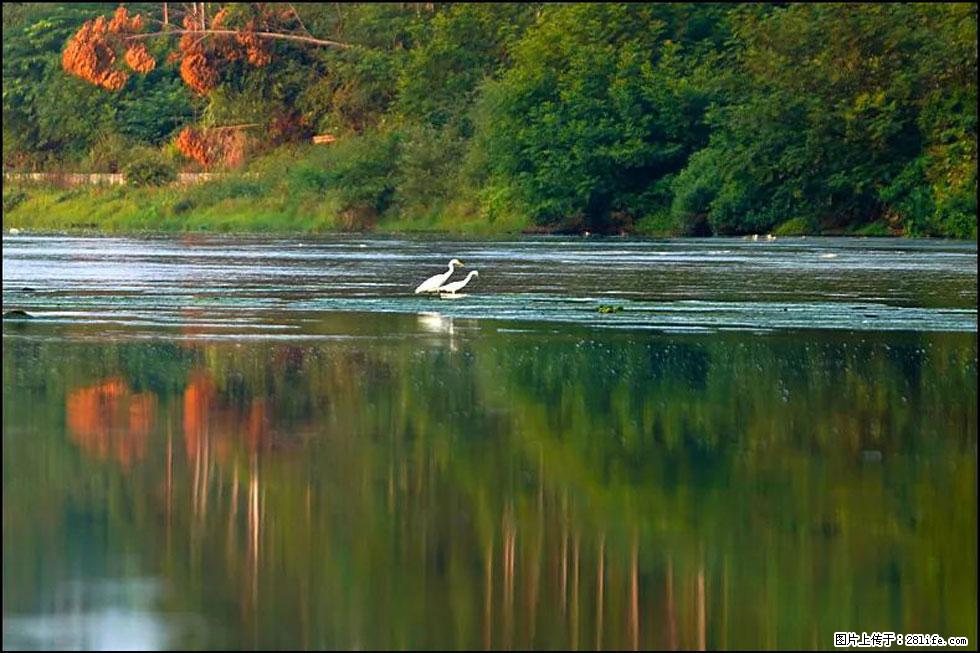 【春天，广西桂林灌阳县向您发出邀请！】熊家寨湿地公园 - 游山玩水 - 石家庄生活社区 - 石家庄28生活网 sjz.28life.com