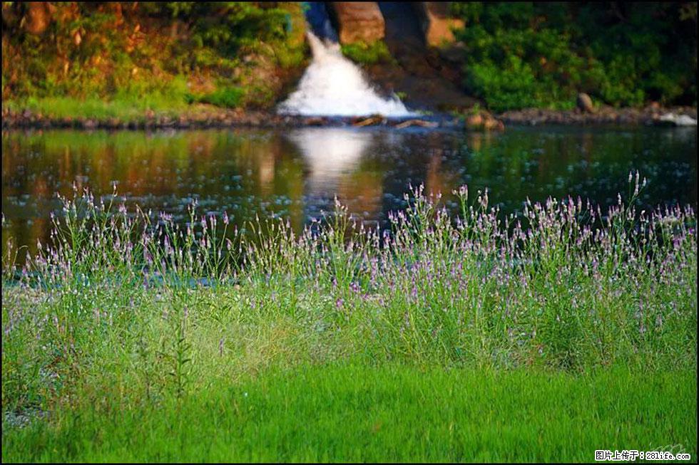 【春天，广西桂林灌阳县向您发出邀请！】熊家寨湿地公园 - 游山玩水 - 石家庄生活社区 - 石家庄28生活网 sjz.28life.com