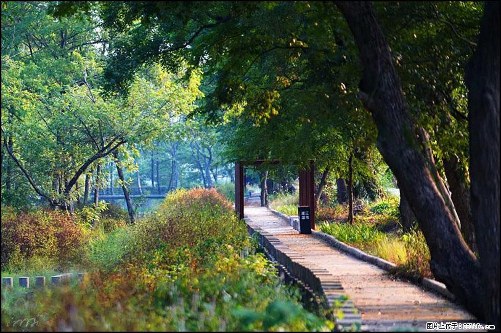 【春天，广西桂林灌阳县向您发出邀请！】熊家寨湿地公园 - 游山玩水 - 石家庄生活社区 - 石家庄28生活网 sjz.28life.com