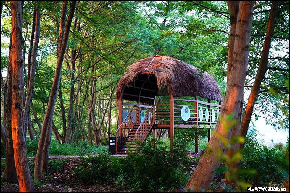 【春天，广西桂林灌阳县向您发出邀请！】熊家寨湿地公园 - 游山玩水 - 石家庄生活社区 - 石家庄28生活网 sjz.28life.com