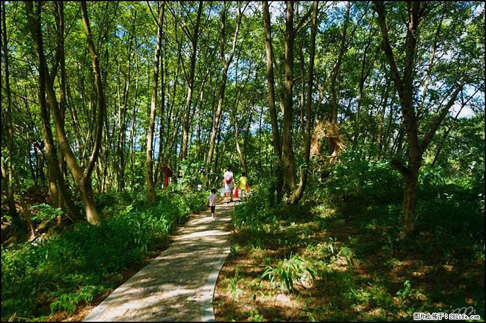 【春天，广西桂林灌阳县向您发出邀请！】熊家寨湿地公园 - 游山玩水 - 石家庄生活社区 - 石家庄28生活网 sjz.28life.com