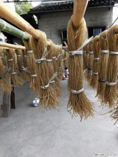 【灌阳正宗红薯粉】美女家里自己做的，干净卫生，假一赔十，价格合理，抢购电话：13737312895 - 石家庄28生活网 sjz.28life.com