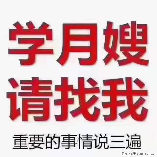 为什么要学习月嫂，育婴师？ - 石家庄28生活网 sjz.28life.com