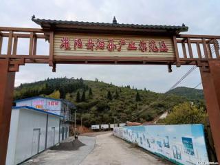 【灌阳县油茶产业示范区】一个有着充实的精神生活的人，对待身外之物自会有一种淡泊的态度 - 石家庄28生活网 sjz.28life.com