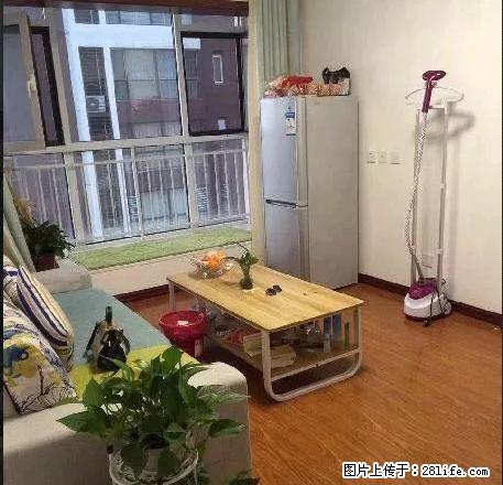 北宋新苑旁 星河盛世 精装一室 图片真实 随时看房 拎包入住 - 房屋出租 - 房屋租售 - 石家庄分类信息 - 石家庄28生活网 sjz.28life.com