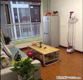 北宋新苑旁 星河盛世 精装一室 图片真实 随时看房 拎包入住 - 石家庄28生活网 sjz.28life.com