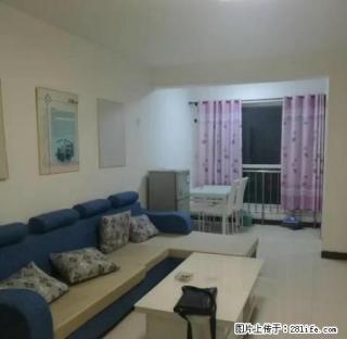 裕华路上，熙园，精装两室，可办公，看房方便，房东自住的，抢 - 石家庄28生活网 sjz.28life.com