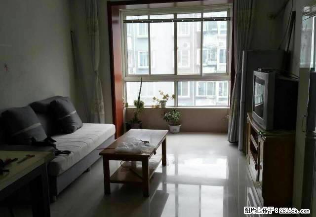 拎包入住交通便利押一付三北国超市旁 - 房屋出租 - 房屋租售 - 石家庄分类信息 - 石家庄28生活网 sjz.28life.com