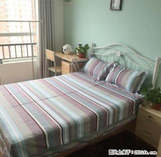 (单间出租)勒泰 北国商圈 精装修卧室 可月付 无中介 拎包入住 - 石家庄28生活网 sjz.28life.com