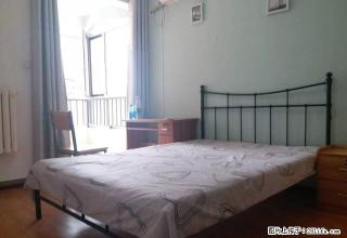 (单间出租)省四院旁 新源燕府 长安公园 附近精装主卧出租 - 石家庄28生活网 sjz.28life.com