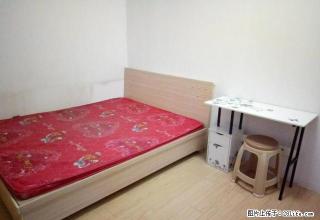 (单间出租)免中介费 个人出租 北站 朝阳路 精装 拎包入住 - 石家庄28生活网 sjz.28life.com