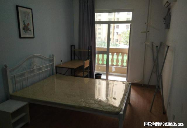 (单间出租)省博物馆附近医科大旁省中医院附近精装主卧带阳台出租 - 房屋出租 - 房屋租售 - 石家庄分类信息 - 石家庄28生活网 sjz.28life.com