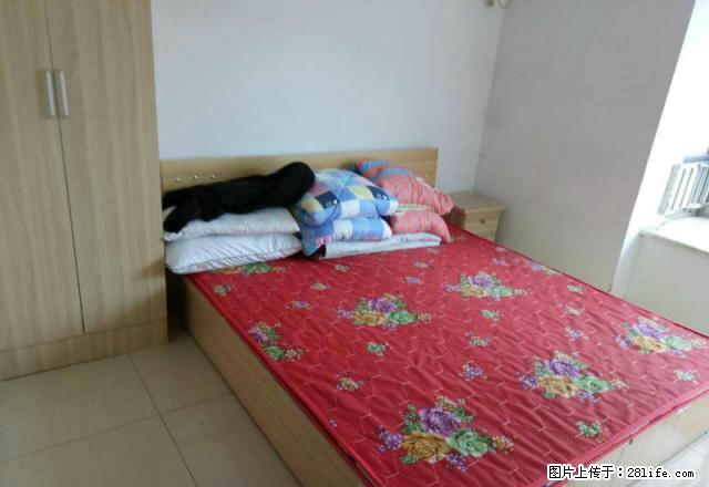 无中。介费 新百商圈 金亿城 太和颐高 地铁1号3号线 急租 - 房屋出租 - 房屋租售 - 石家庄分类信息 - 石家庄28生活网 sjz.28life.com