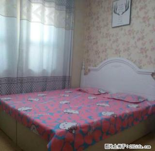 (单间出租)无中。介费 红旗大街 益友百货 西三教 精装主卧 拎包入住 - 石家庄28生活网 sjz.28life.com