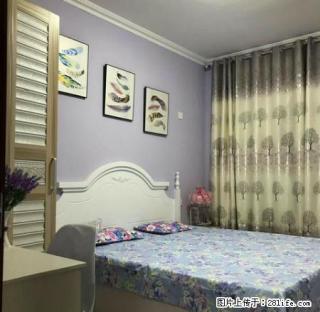 (单间出租)无中。介费 益友百货 西三教 友谊大街 拎包入住 押一付一i - 石家庄28生活网 sjz.28life.com