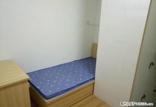 (单间出租)誉天下合租，单间260，拎包入住 - 石家庄28生活网 sjz.28life.com