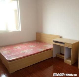 (单间出租)小马新村大次卧550本人在小区，随时看房，邻近西美，丁香 - 石家庄28生活网 sjz.28life.com