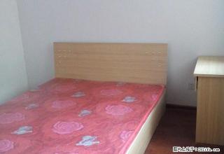 (单间出租)个人房，单间350，可月租，拎包入住，小马新村合租，随时看房 - 石家庄28生活网 sjz.28life.com