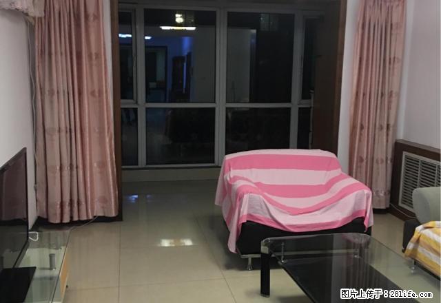 国际城二期 精装两室 全套家具家电 拎包入住 包网费 急租 - 房屋出租 - 房屋租售 - 石家庄分类信息 - 石家庄28生活网 sjz.28life.com