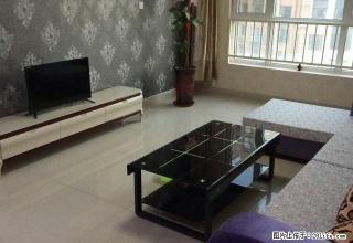 (单间出租)河北师大西门 艺术生考试培训住宿 - 石家庄28生活网 sjz.28life.com