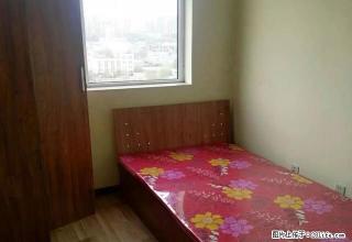 (单间出租)和平建材城书香华苑精装修次卧400元小卧350元拎包入住 - 石家庄28生活网 sjz.28life.com