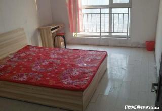 (单间出租)万达誉天下天海誉天下个人无中介费 - 石家庄28生活网 sjz.28life.com