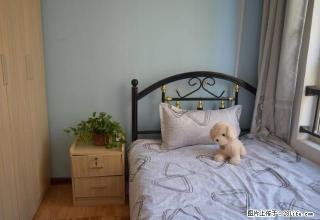 (单间出租)市四院 新源燕府 青年公寓 干净安全 定期保洁 随时看房 - 石家庄28生活网 sjz.28life.com