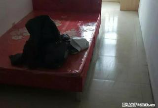 (单间出租)新火车站北天鹅湖地铁口旁边家具家电齐全拎包入住交通便利 - 石家庄28生活网 sjz.28life.com